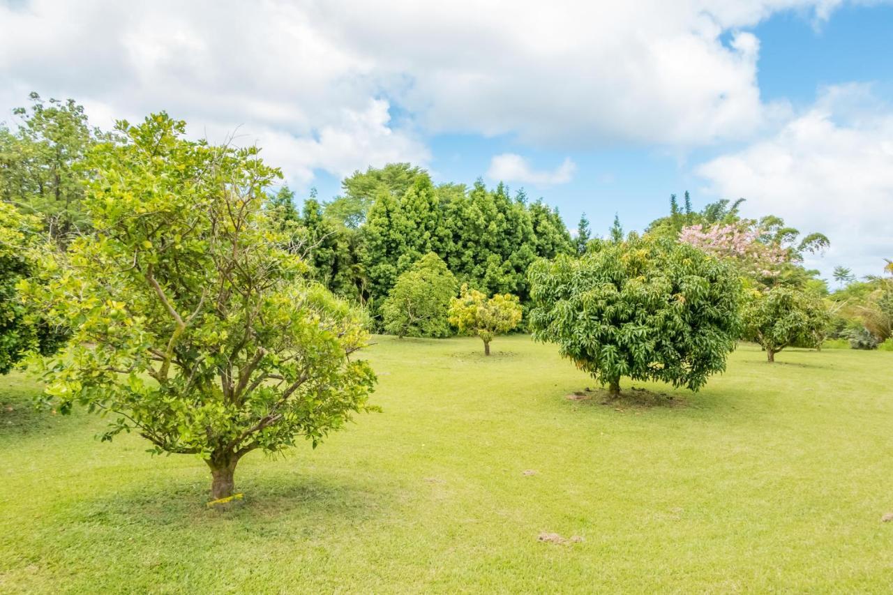 Off-Grid Getaway With Ocean Views In Paradise Pahoa Exterior foto