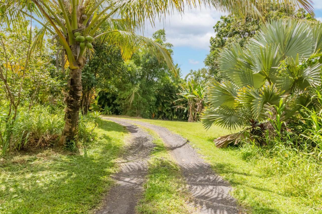 Off-Grid Getaway With Ocean Views In Paradise Pahoa Exterior foto