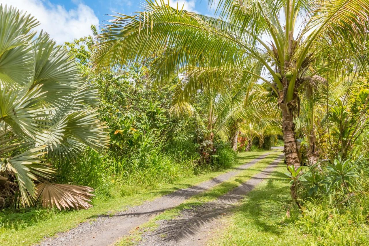 Off-Grid Getaway With Ocean Views In Paradise Pahoa Exterior foto