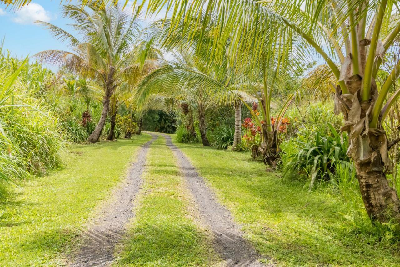 Off-Grid Getaway With Ocean Views In Paradise Pahoa Exterior foto