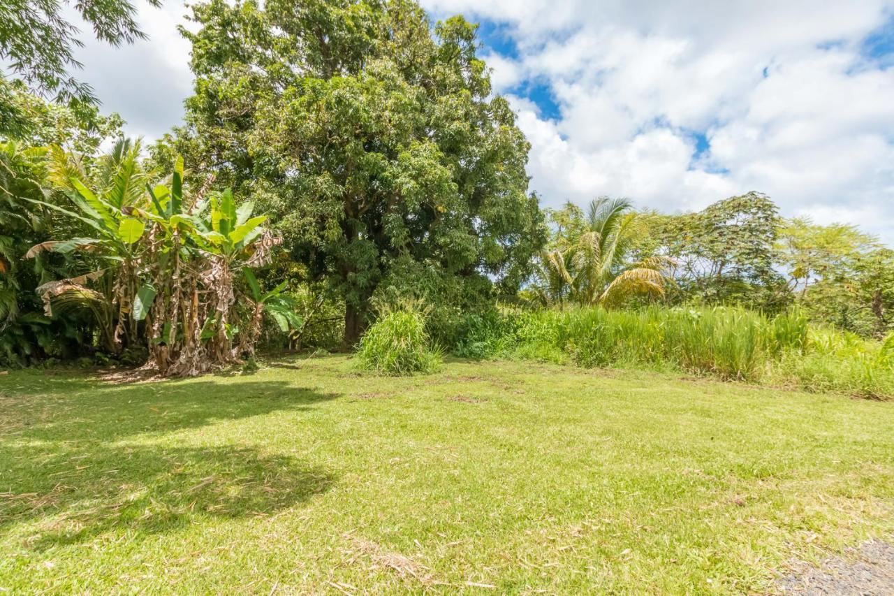 Off-Grid Getaway With Ocean Views In Paradise Pahoa Exterior foto