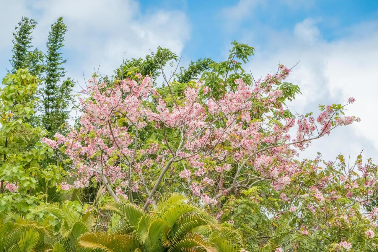 Off-Grid Getaway With Ocean Views In Paradise Pahoa Exterior foto