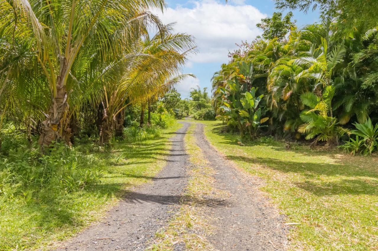 Off-Grid Getaway With Ocean Views In Paradise Pahoa Exterior foto