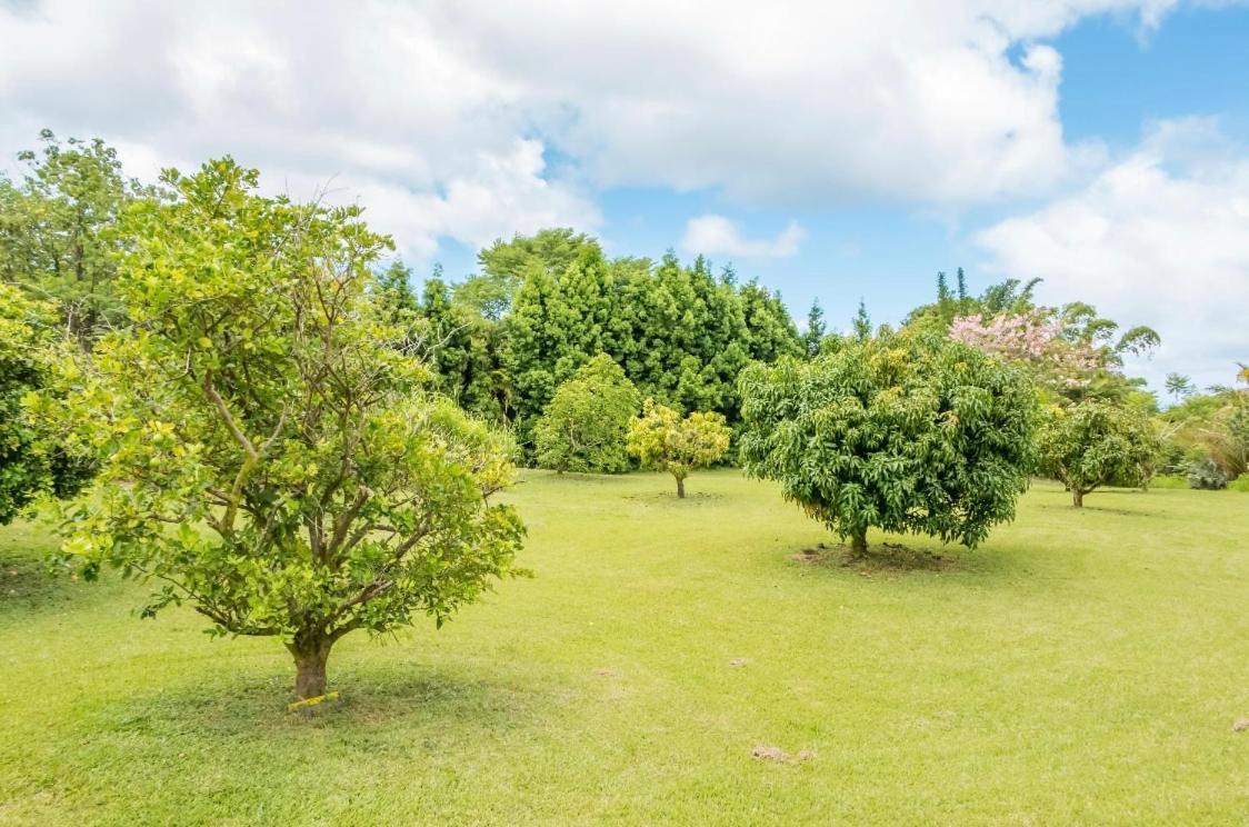 Off-Grid Getaway With Ocean Views In Paradise Pahoa Exterior foto