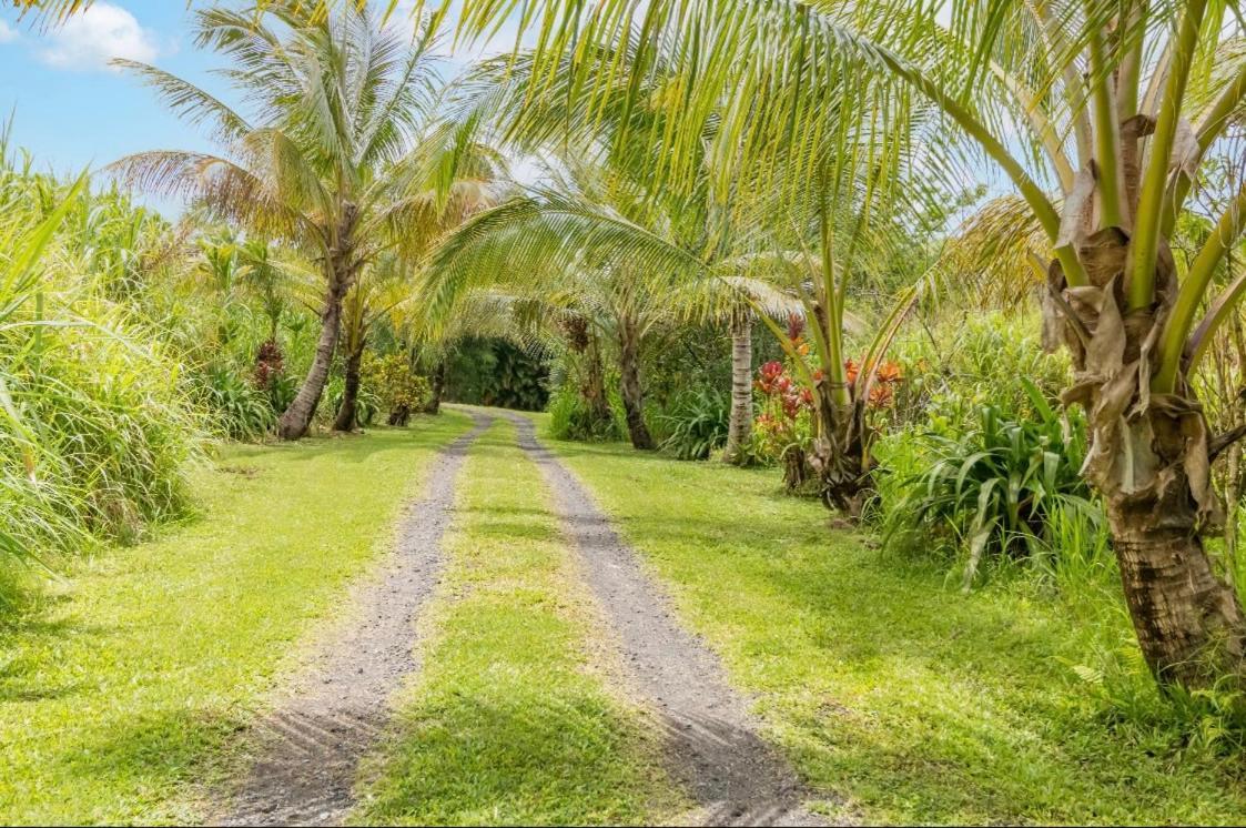 Off-Grid Getaway With Ocean Views In Paradise Pahoa Exterior foto