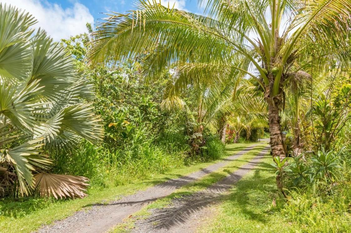 Off-Grid Getaway With Ocean Views In Paradise Pahoa Exterior foto