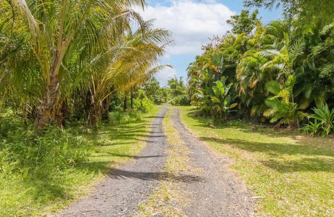 Off-Grid Getaway With Ocean Views In Paradise Pahoa Exterior foto